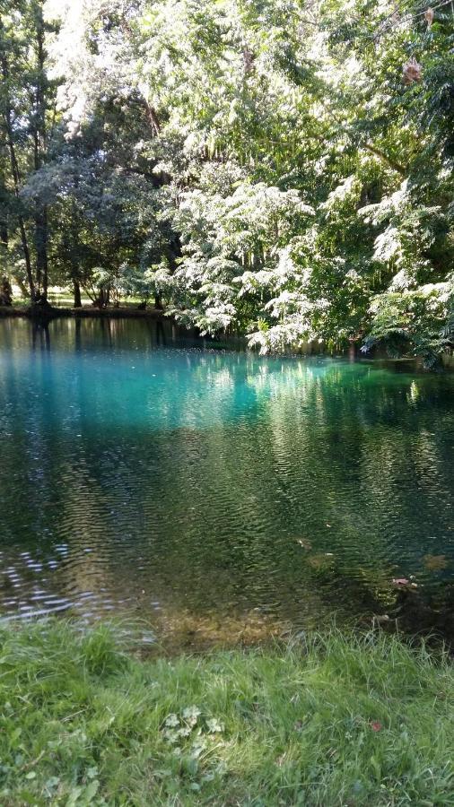 Gite Le Cozillon Cozes Bagian luar foto